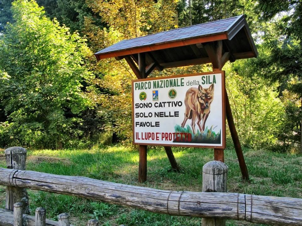 B&B La Rosa Dei Venti Acri Bagian luar foto